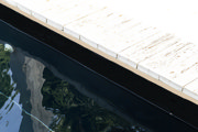 DETAIL8119