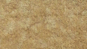 DETAIL8223