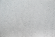 DETAIL7794