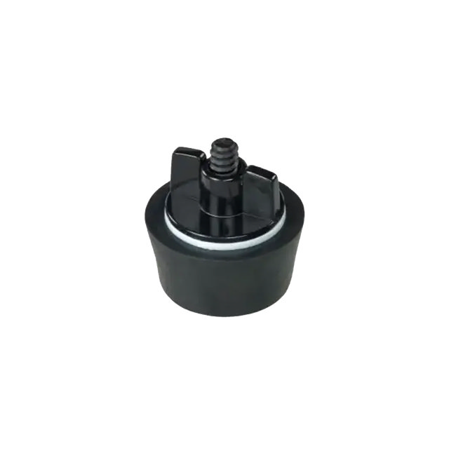 Bouchon d' hivernage