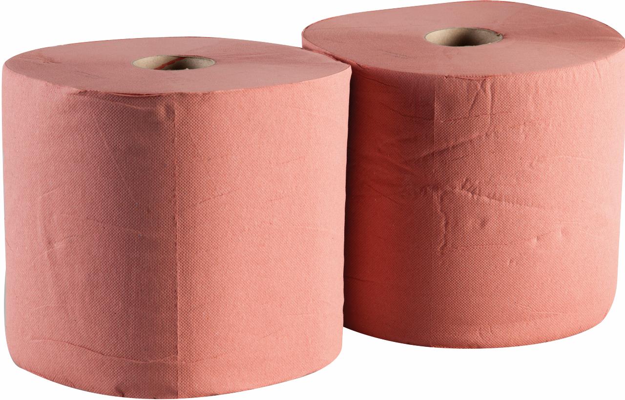 Paper towels 30 cm x 24 M x 2 plis - 2 rolls per pack