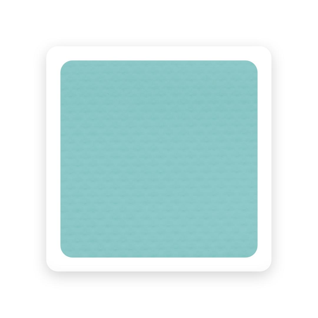 Ogenflex Classic Range 1,65m x 25m vert clair