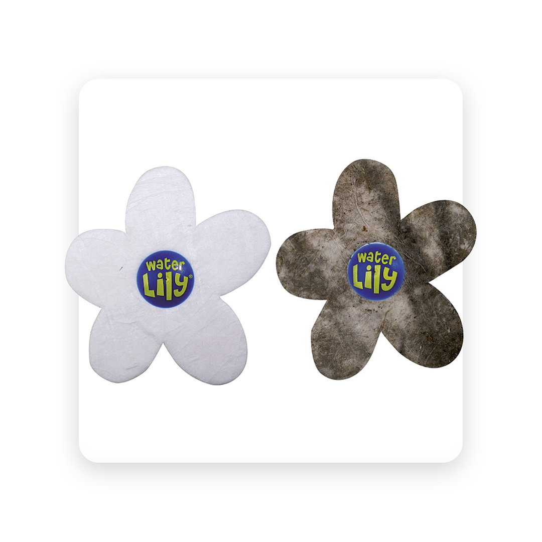 Water Lilly (6 pieces)